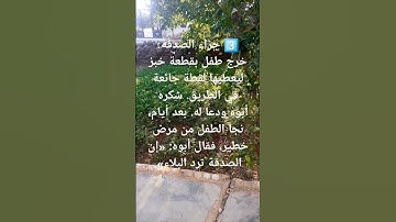 #اكسبلور #quran #لايك #تلاوات #تيك_توك #ترند #الرحمن #علم_النفس #القاريء #صباح_الخير