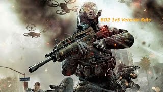BO2 1v5 Veteran Bots Edit Remake