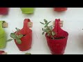 Expansion in Green cover need of the hour  # Botany Department,GDC Kishtwar.
