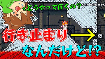 ぽこにゃん マリオメーカー2 117