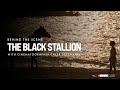 Caleb Deschanel on Making The Black Stallion | AFI Movie Club