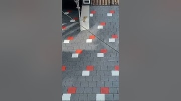 interlock bricks house design #interlock #home #bricks #stone #vairal