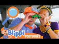 Blippi Visitam o Topo de um Parque! | Blippi em Português | Vídeos Educativos para Crianças