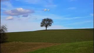 Bernadya - Kata Mereka Ini Berlebihan ( Cover Roni Ramadhan )