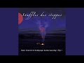Miniature de la vidéo de la chanson Sol Solo