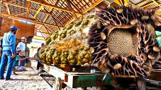 Kayu pembunuh yang mereka temukan di tengah hutan,hanya mereka yang mampu menggergaji.