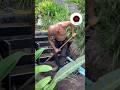 WAM IT - demo style #demo #diy #tools4life #concrete #prep #diy #viral #explore #hardwork #pull