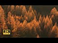 3 Hours of Enchanting Autumn Nature Scenes - Relaxing Piano Music for Stress Relief