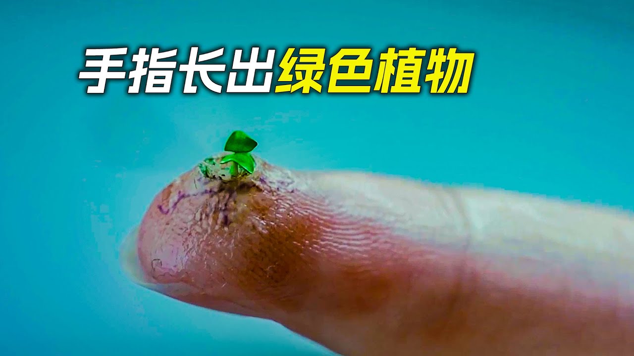 手指上長出了綠色植物,很快就遍佈了全身,科幻,奇幻,電影,解說,獵奇,懸疑,冒險,超能力
