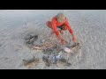 Rezeki Berburu Kepiting Rajungan ukuran Jumbo Sore hari di pulau Terpencil Dapat melimpah
