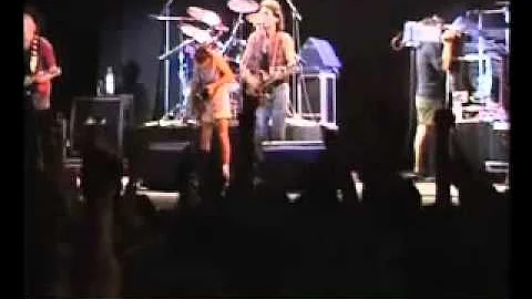 Quanti concerti ha fatto Ligabue a Campovolo?