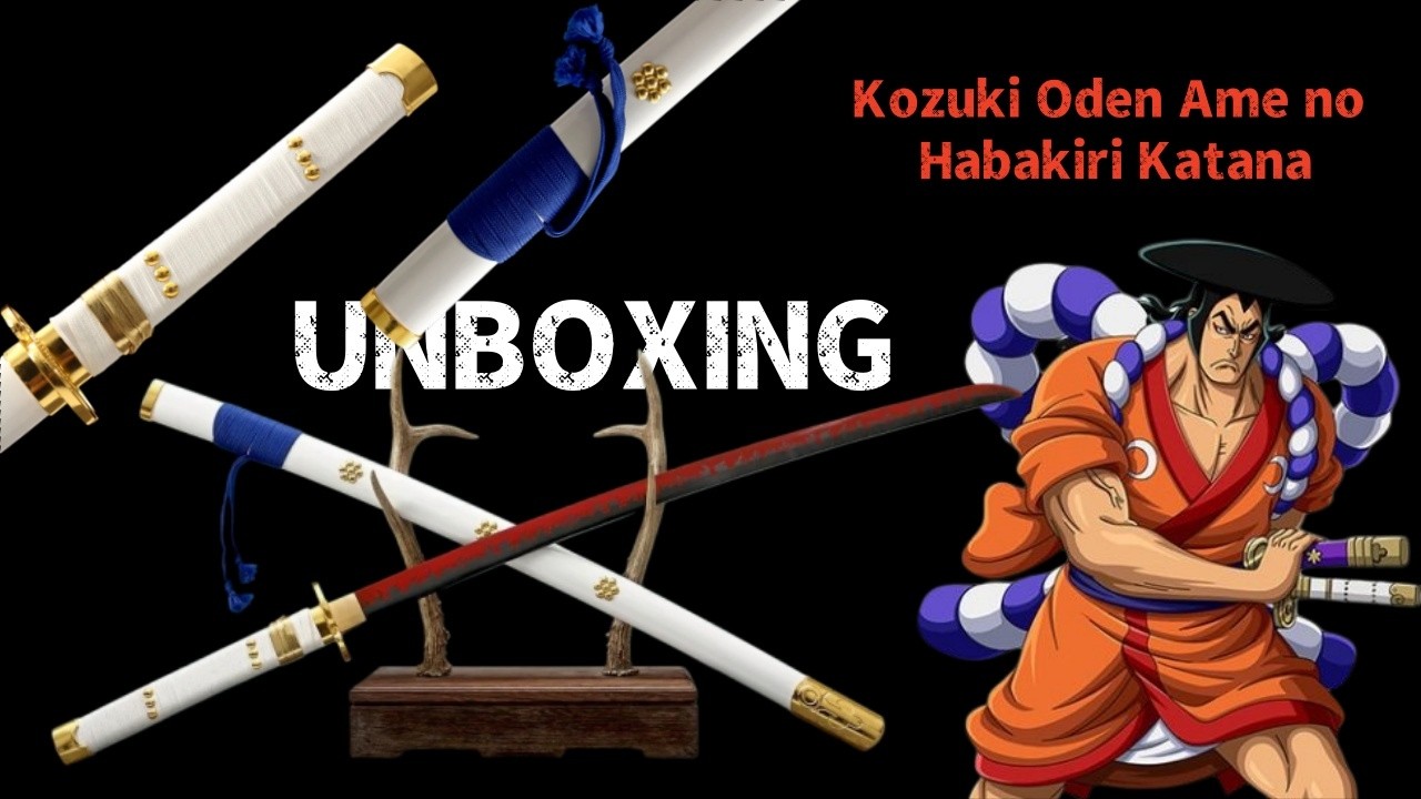 Kozuki Oden Ame no Habakiri Katana Unboxing!