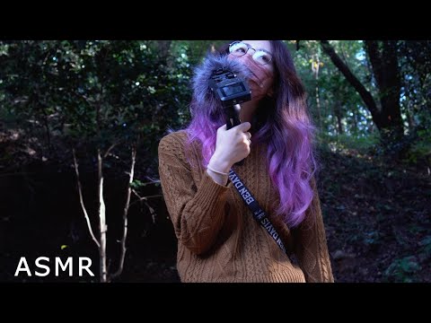 ASMR 環境音＆囁き雑談△秋に鳴いてる鳥はなんだろうね？/What are the birds singing in autumn? ▽[囁き/whisper]