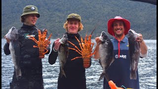 The Best Spearfishing of My Life! Fiordland NZ