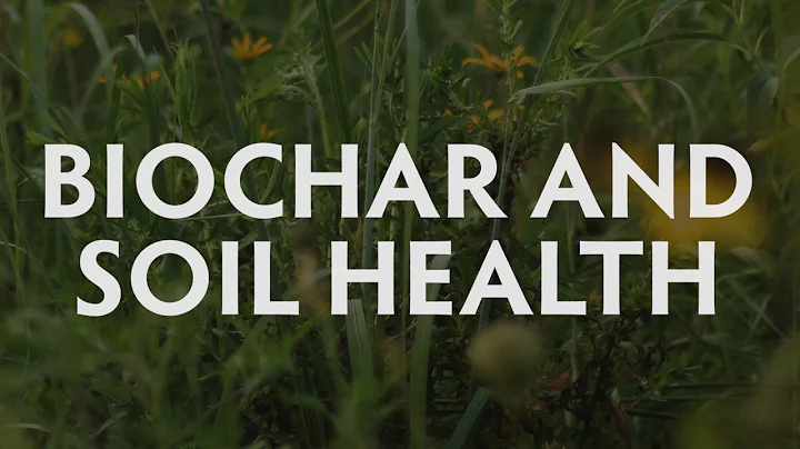 Biochar and Soil Health by Elizabeth Steele at Ham...