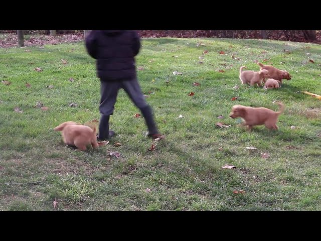 Penny video thumbnail