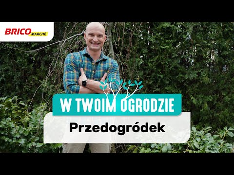 Wideo: Miejsce przed domem: przestrzeń życiowa przed domem