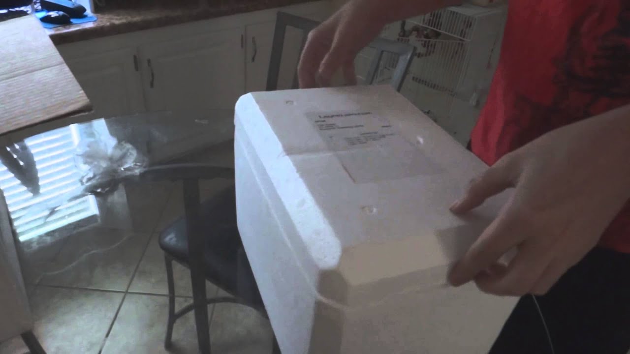 feeders grain Layne Labs Feeders Unboxing