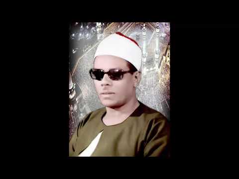 الشيخ محمود حسنين الكلحى سورة الزمر 