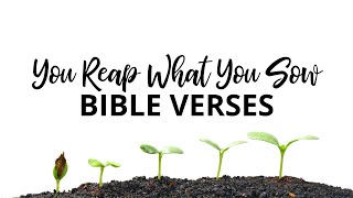 You Reap What You Sow Bible Verses
