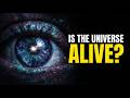 What Is Consciousness? The Theory That Terrifies Scientists