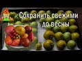 Хранение помидоров. Как сохранить помидоры свежими на зиму