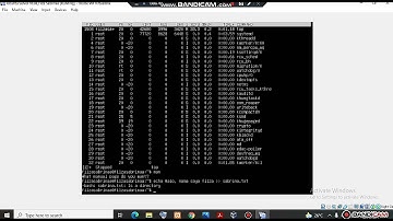 5. Filza Sabrina Amalia (062030701646) Perintah Dasar Linux Ubuntu Server 18.04 melalui VirtualBox