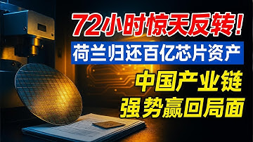 七十二小时惊天反转！荷兰归还百亿芯片资产，中国到底出了什么牌？#安世半导体控制权回归#中国半导体崛起#全球芯片供应链#汽车芯片危机#中荷科技博弈#稀土出口管制#产业链韧性#科技格局变化#闻泰科技