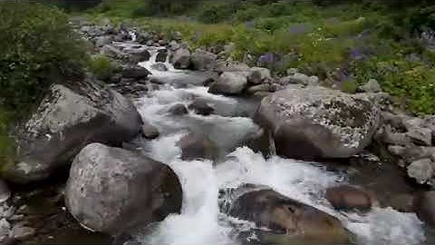 #سورة يٓس #القارئ عصام حمود