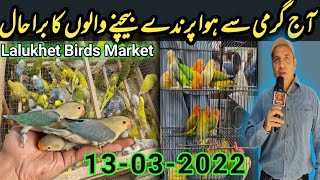 Lalukhet Birds Market Sunday video Latest update 13-03-2022 Urdu\/ Hindi