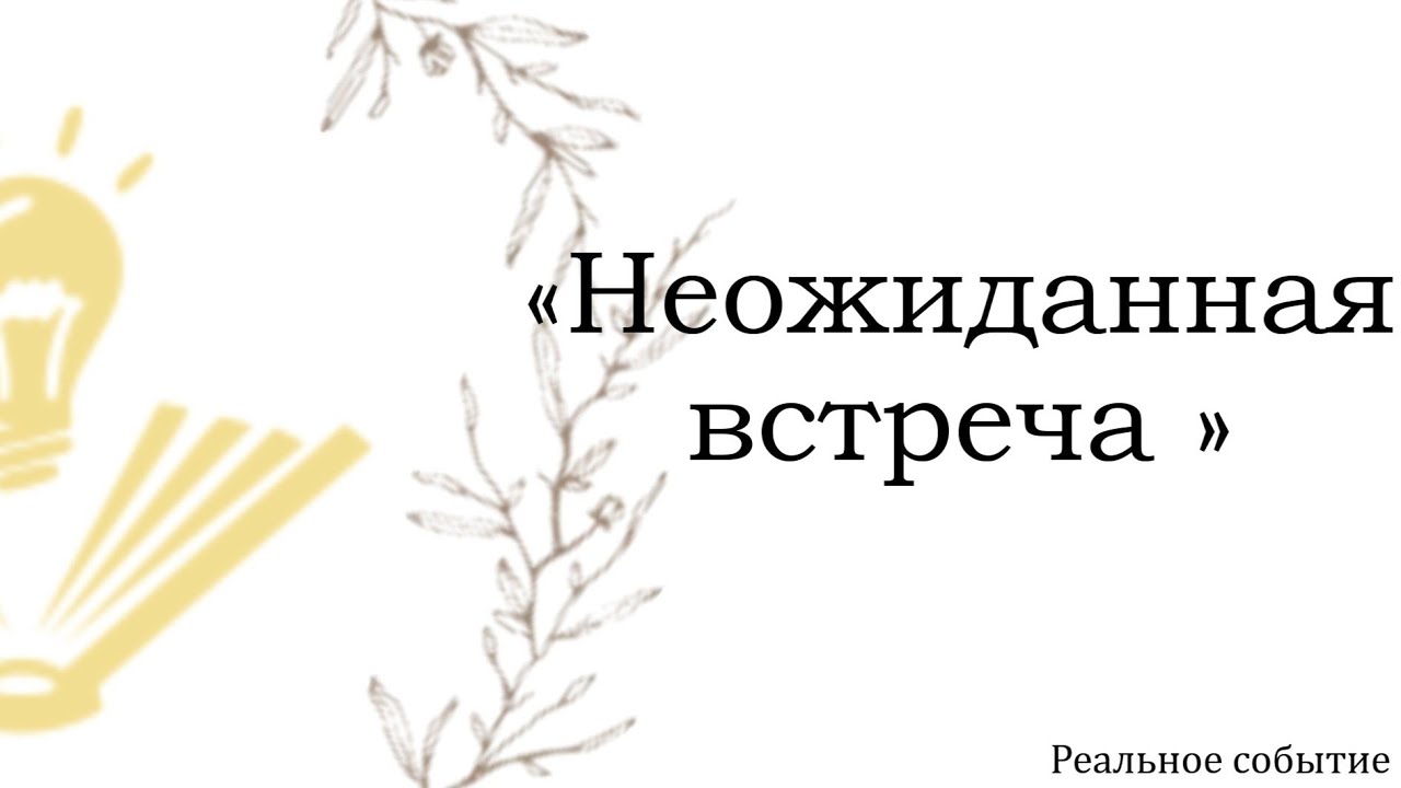 Неожиданная встреча