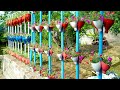 Amazing Vertical Garden from Plastic Bottles for Your Front Yard | TEO Garden