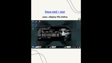 kali linux cmd = stat