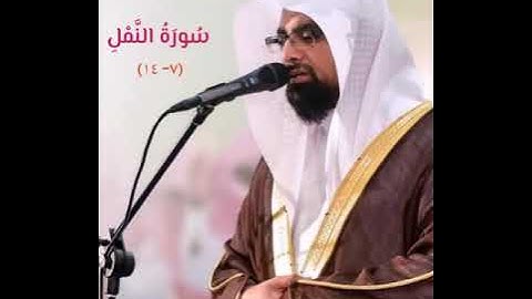 تلاوة خاشعة للشيخ ناصر القطامي سورة النمل ( ٧-١٤ )