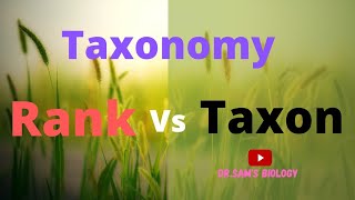 Difference between Rank and Taxon (Taxonomy)