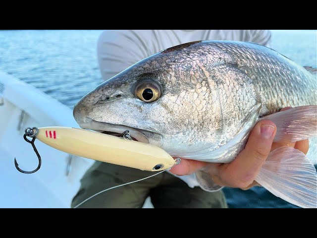 DO THIS To Catch More Fish on Topwater Lures 