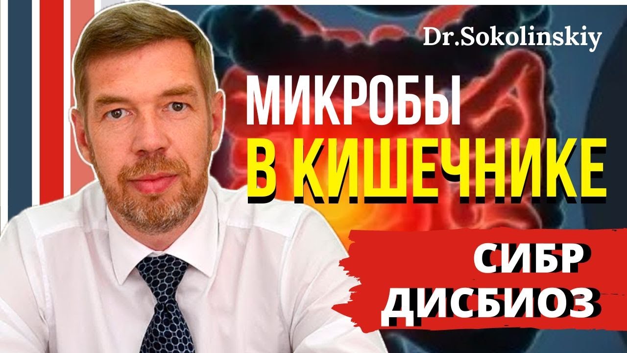 🔥Избыточный бактериальный рост (СИБР), дисбактериоз в кишечнике ...