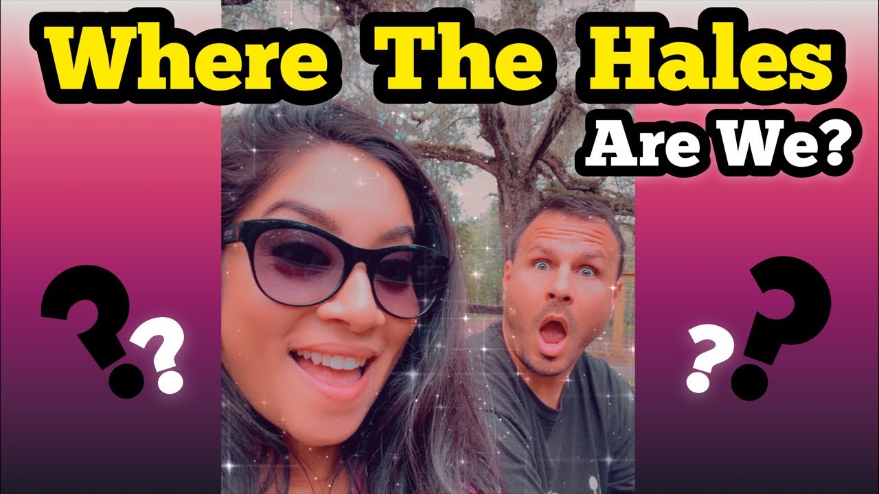 Where The Hales Are We Now YouTube where-the-hales-are-we-now-youtube