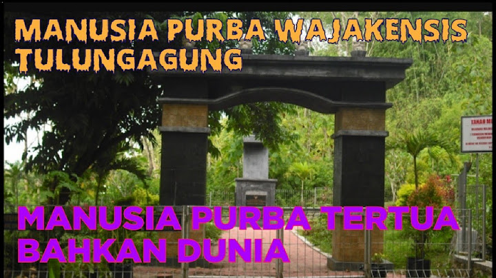 Manusia purba pertama yang ada di wilayah nusantara adalah