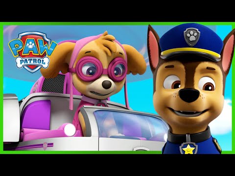 PAW PATROL
