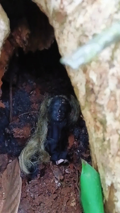 pantesan pohon ini angker,ternyata dihuni oleh sosok jenglot #shorts #mistis #jenglot #misteri