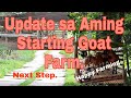Goat Farming Update after 8 Months | Backyard Farming | Farming Business Atbp