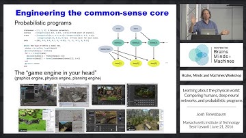 Learning about the physical world: Comparing humans, deep neural networks, and...