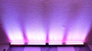 Stairville Led Bar 120/4 RGB DMX 30° 0,5m