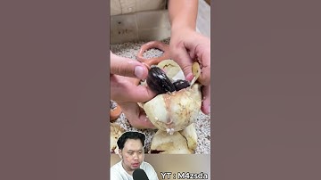 Proses Telur Ular Menetas!! #m4zsda #shortvideos #horrorgaming #shorts #reaction