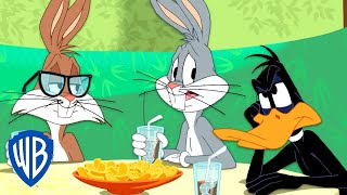 Looney Tunes en Latino | El nuevo amigo de Bugsy | WB Kids