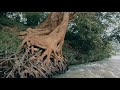 NAFAKHUM | BANDARBAN