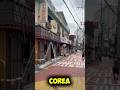 Descubre Corea conmigo 🇰🇷✨