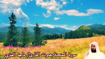 سورة الممتحنة (صدى) بصوت القارئ/ ماجد الزامل - Surat Al Mumtahanah