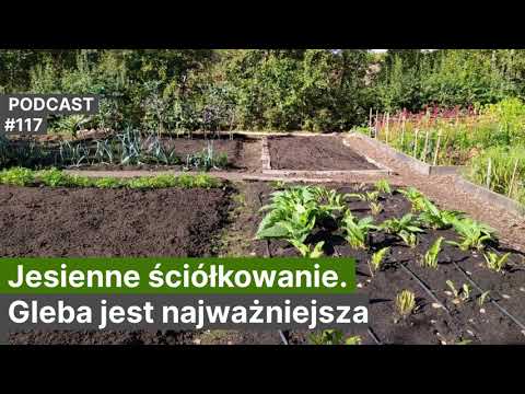 Wideo: Ściółkowanie Gleby